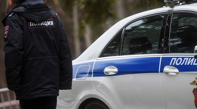 РИА Новости: упавший в Подмосковье беспилотник с американским двигателем весит около 100 кг