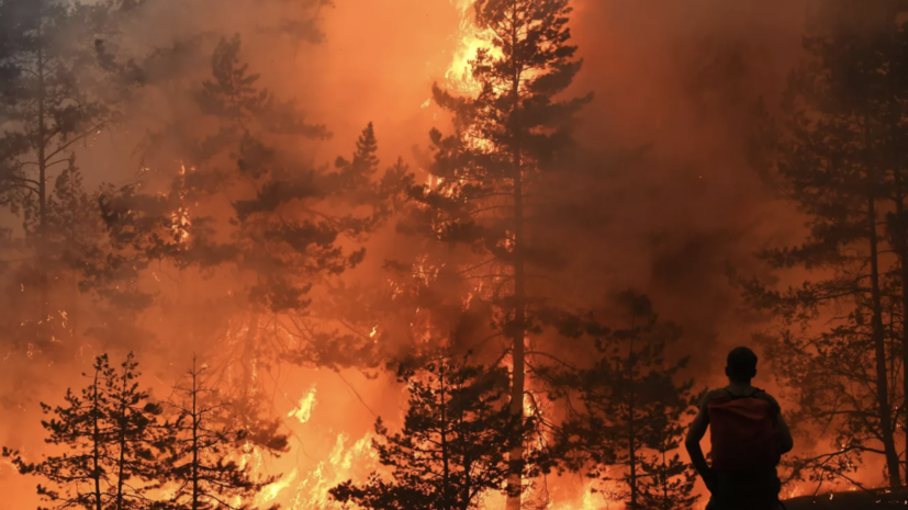 В лесах Пермского края спрогнозировали повышенную пожароопасность в мае