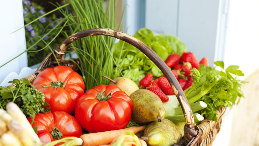 Диетолог Пурахина посоветовала регулярно употреблять овощи