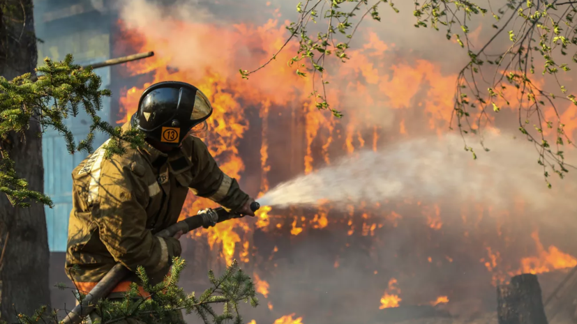 Режим ЧС из-за природных пожаров ввели в Амурской области