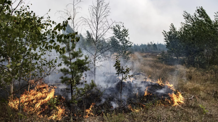 В заповеднике «Бастак» в ЕАО зафиксировали пожар