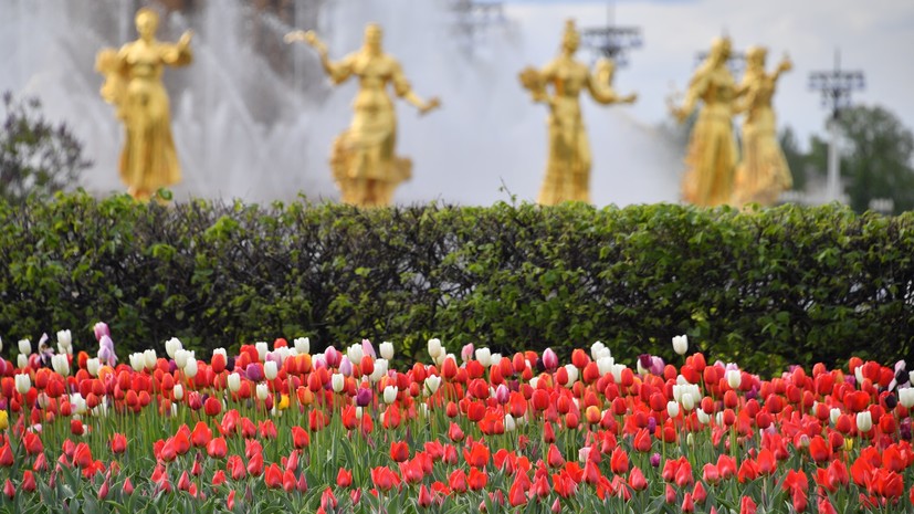 Синоптик Позднякова пообещала потепление в Москве с 9 мая