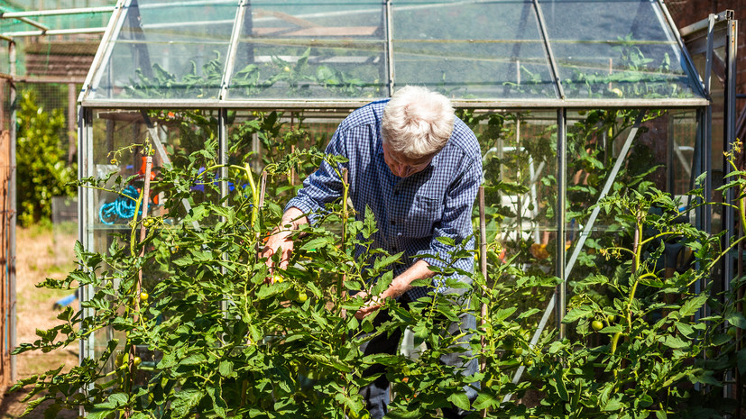Фитнес‑тренер Пахомов посоветовал избегать резких движений во время дачных работ