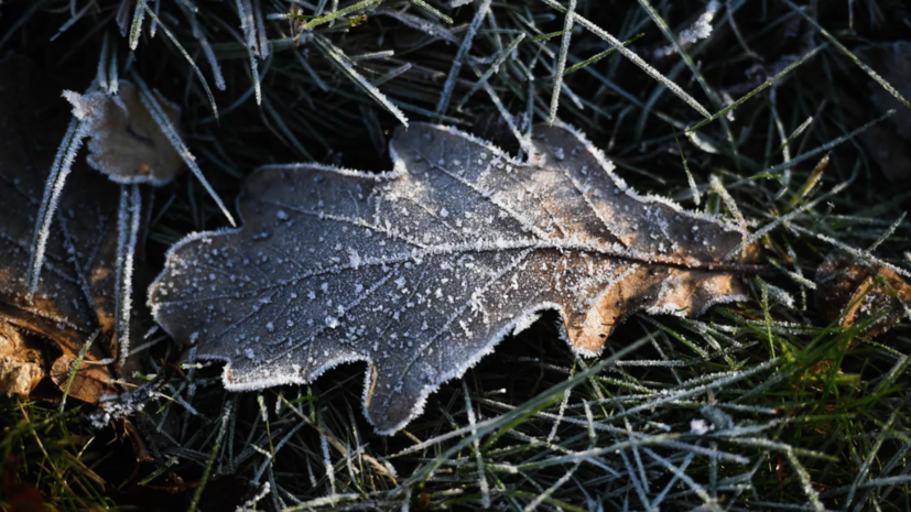 В Нижегородской области предупредили о ночных заморозках с 7 по 10 мая