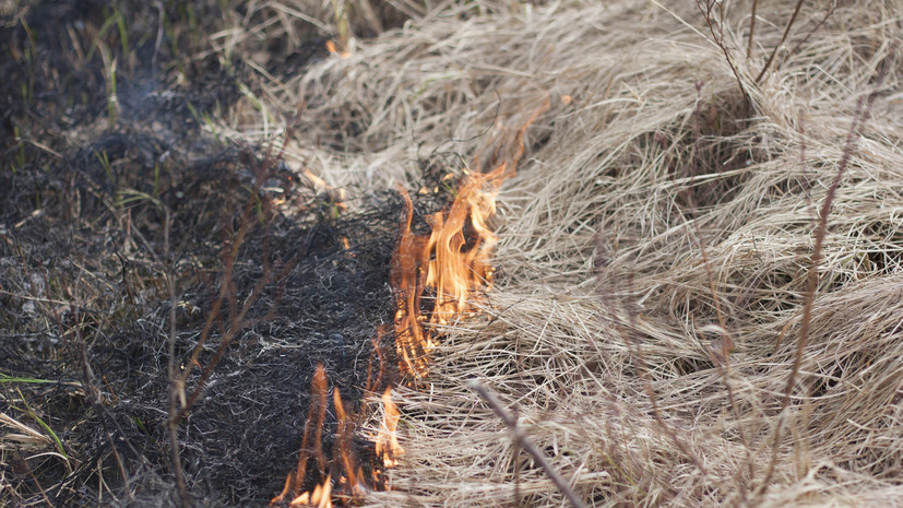В Тюменской области задержали мужчину, поджигавшего сухую траву вдоль дороги