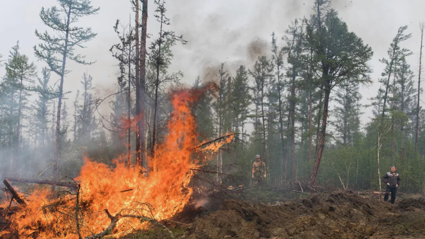 Более 700 спасателей занимаются тушением пожаров в Курганской области