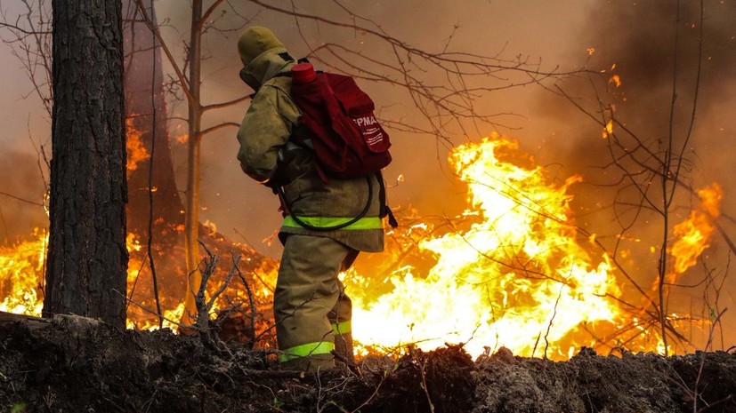 Губернатор: пострадавшие из-за пожаров в Курганской области 8 мая получат первые выплаты