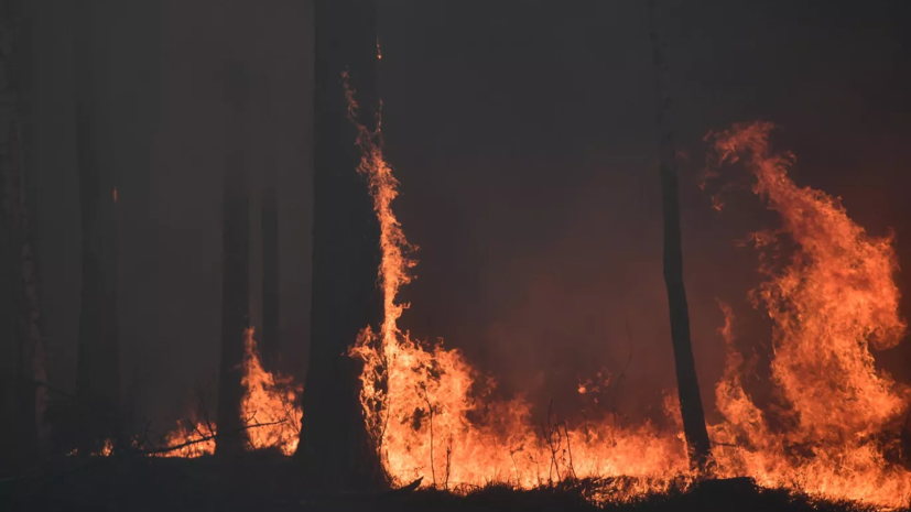 МЧС России: угроза населённым пунктам от природных пожаров в Курганской области снята