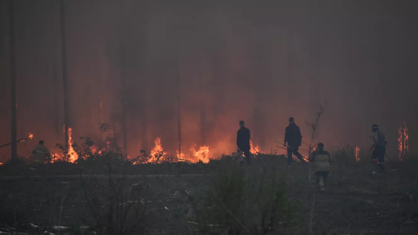 ТАСС: число погибших при пожарах в Курганской области возросло до 19