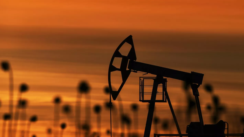 Минэнерго США повысило прогноз потребления нефти в мире до 101 млн баррелей в сутки