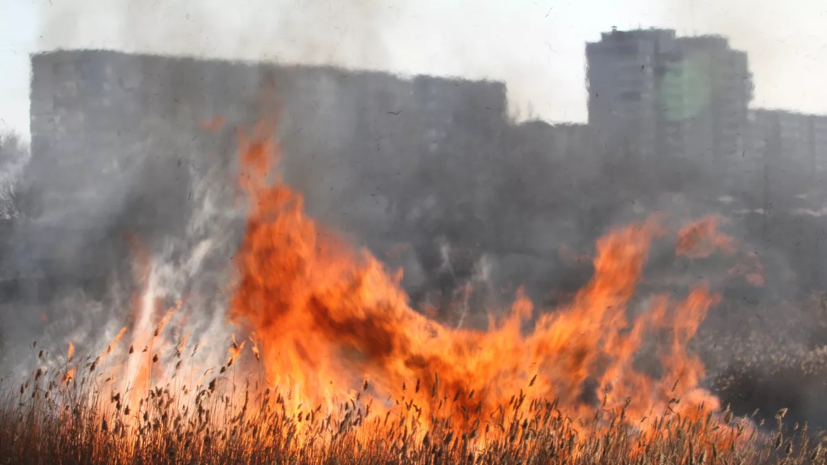 В Удмуртии сохранится высокая пожароопасность лесов до 14 мая