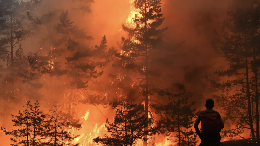 Синоптик Вильфанд включил УрФО в список регионов с высокой пожароопасной обстановкой