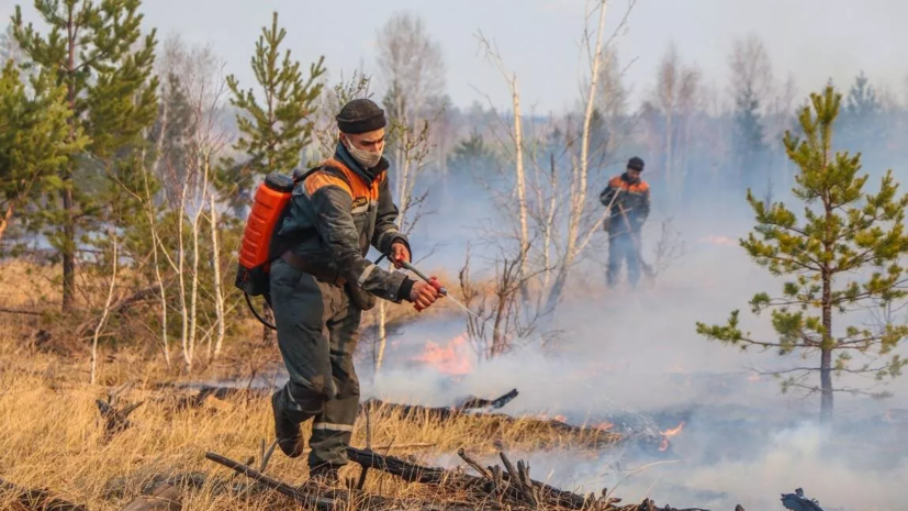 МЧС: угроза населённым пунктам Свердловской и Тюменской областей от лесных пожаров снята