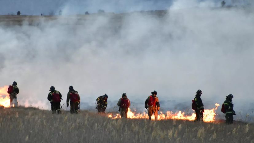 В МЧС сообщили о ликвидации пожаров, угрожавших населённым пунктам в трёх регионах России
