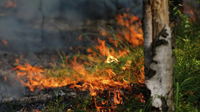 Природный пожар в челябинском нацпарке «Зигальга» ликвидирован