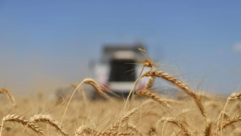 РИА Новости: решение по срокам продления зерновой сделки ещё не принято
