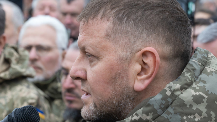 Экс-советник Кучмы Соскин: главком ВСУ мог отказаться от заседания с НАТО из-за Зеленского