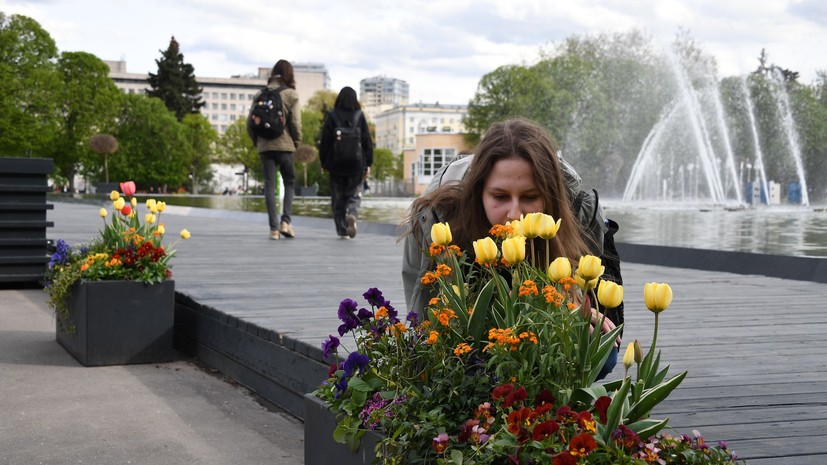 Синоптик Ганьшин спрогнозировал потепление до +23 °С в Москве 13 мая