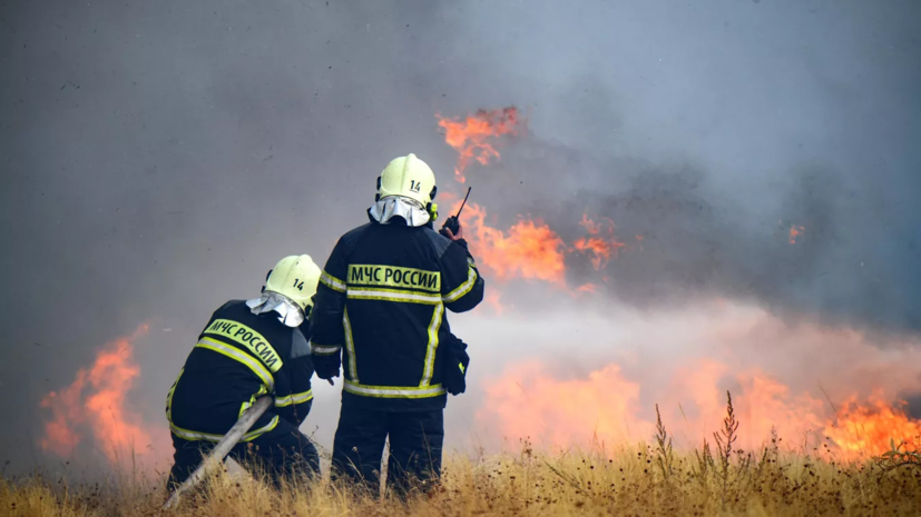 Пожарные ЯНАО потушили возгорания на площади 900 га в Курганской области