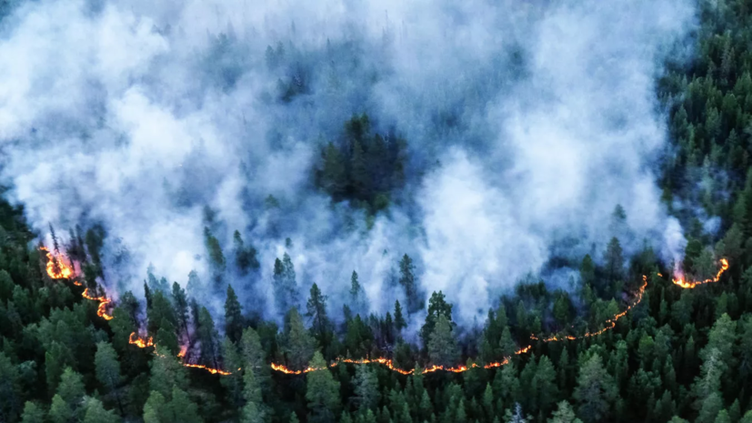 Синоптик Шепоренко: смог от лесных пожаров может уйти из Екатеринбурга 17 мая