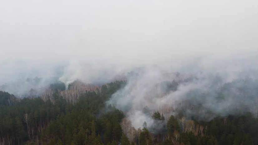 Девять лесных пожаров на площади 4,7 тыс. га действуют в Тюменской области