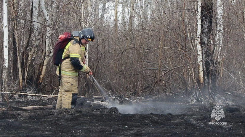 Власти сообщили о сокращении площади лесных пожаров в Свердловской области в два раза