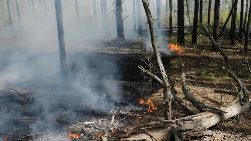 На территории Хабаровского края ввели режим ЧС из-за лесных пожаров