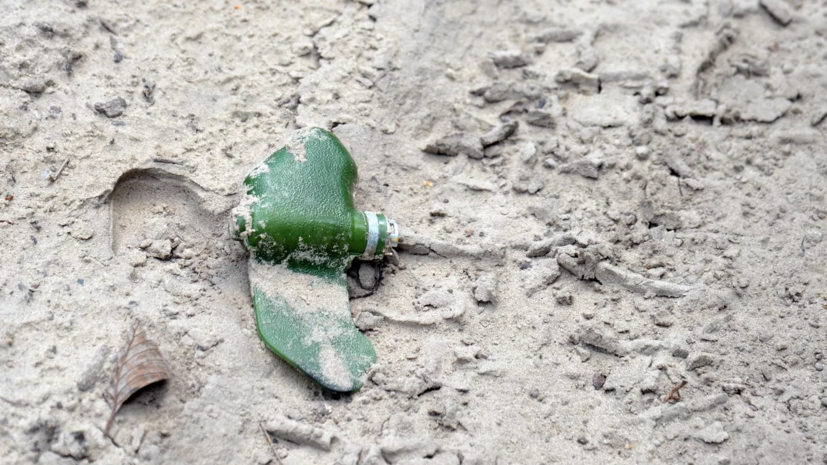 Кулемзин сообщил, что в Донецке обнаружили мины «Лепесток»