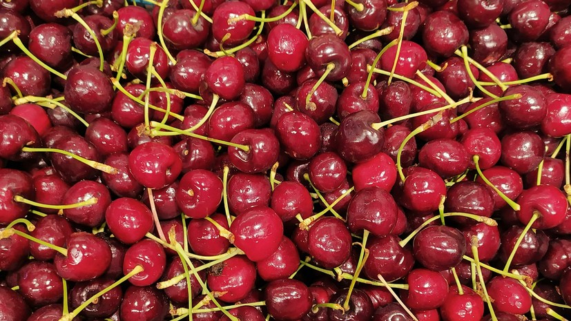 Диетолог Нефёдова напомнила об опасности ягод с антибиотиками