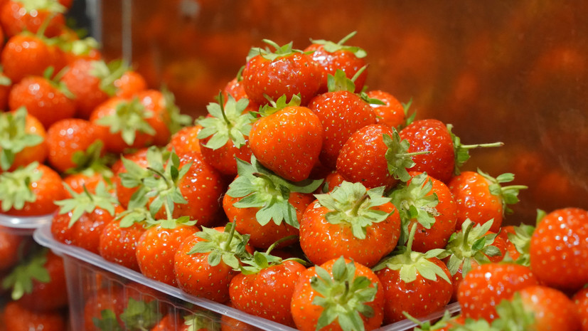 Нутрициолог Тиханычева посоветовала покупать клубнику в официальных точках продаж