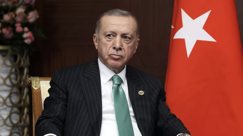 Эрдоган заявил о подготовке Турцией плана по возвращению сирийских беженцев