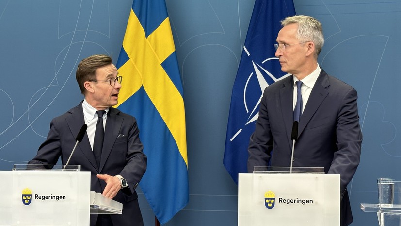 Глава Минобороны Швеции отметил растущую поддержку членства страны в НАТО
