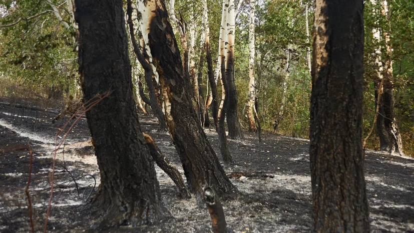 В ЯНАО установлен особый противопожарный режим