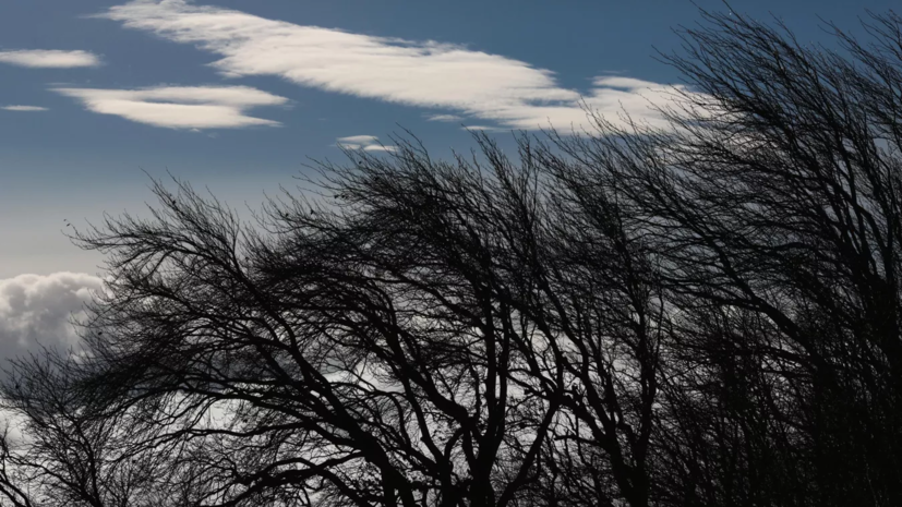 В Ставропольском крае объявлено штормовое предупреждение из-за усиления ветра