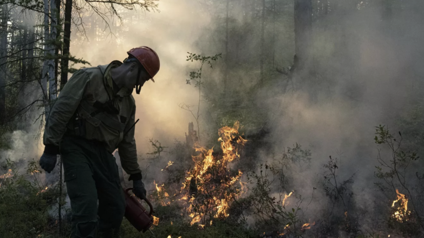 Авиалесоохрана: лесопожарные службы потушили 70 природных пожаров в России за сутки
