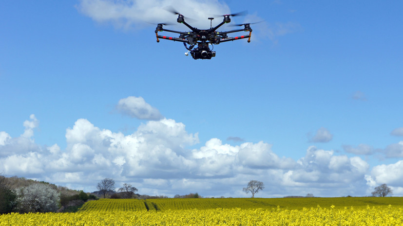 В Краснодарском крае заявили о падении неизвестного дрона в сельхозполях