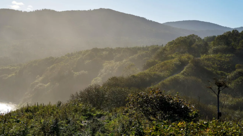 В Башкирии началась профилактическая операция «Лес»