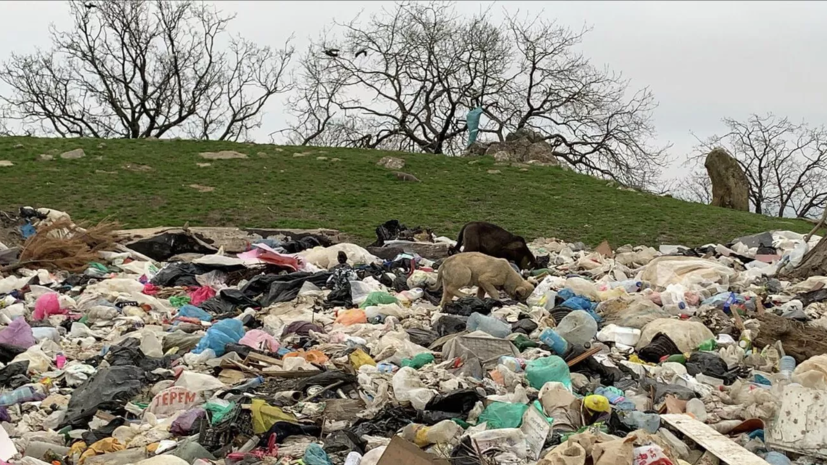 В лесах Татарстана ликвидировали 74 несанкционированные свалки