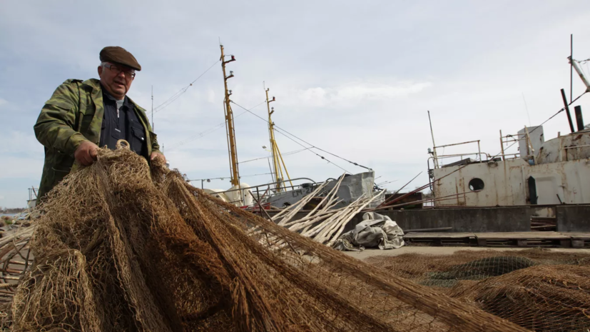 На реке Вала в Удмуртии произошёл мор рыбы