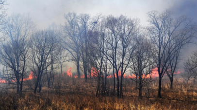 В Тюменской области частично ограничили движение из-за ландшафтных пожаров