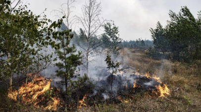 В заповеднике Бастак в ЕАО зафиксировали пожар