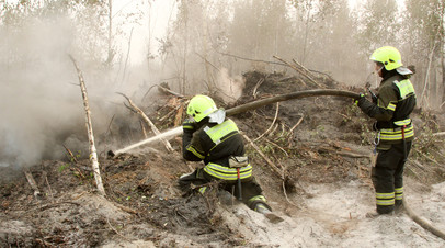 Площадь лесных пожаров в Свердловской области увеличилась до 33 тысяч га