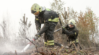 В Свердловской области площадь лесных пожаров увеличилась до 54,1 тысячи га