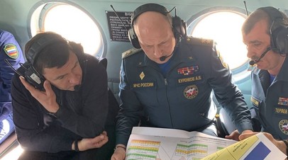 В МЧС предложили оказать пострадавшим при пожарах на Урале помощь из федерального бюджета