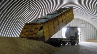 Посол Украины в Турции Боднар заявил, что зерновая сделка не учитывает требования Москвы