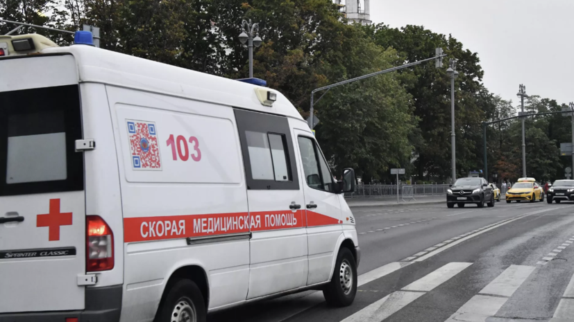 Бойцовая собака напала на 10-летнего мальчика на пляже под Нижним Тагилом