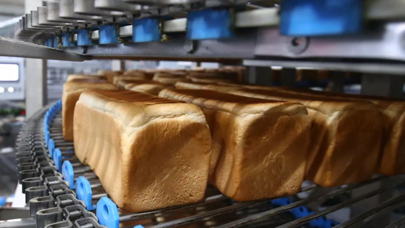 Хлебопёки Балтфлота освоили процесс изготовления хлеба в полевых условиях в Калининградской области