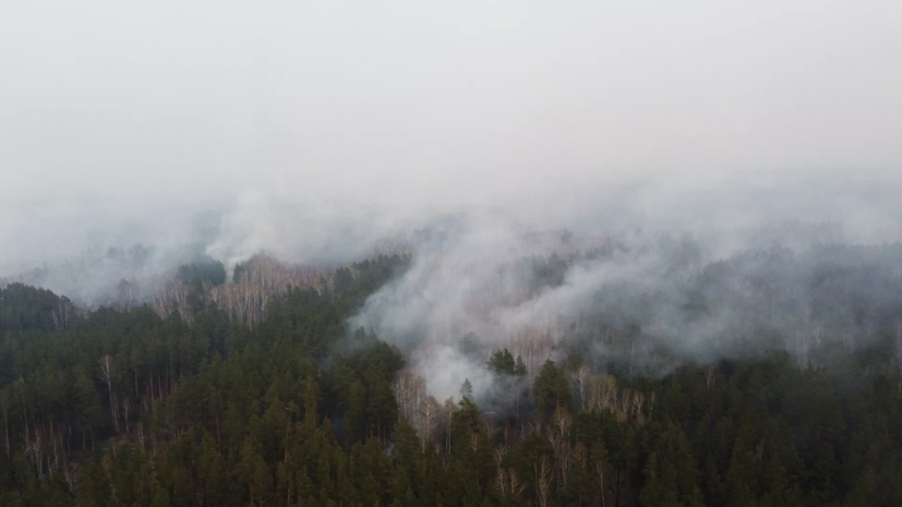 Авиалесоохрана: лесопожарные службы потушили более 50 природных пожаров в России за сутки