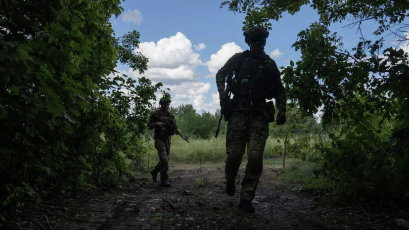 Рогов: ВСУ завершили формирование группировок для наступления на Запорожском направлении