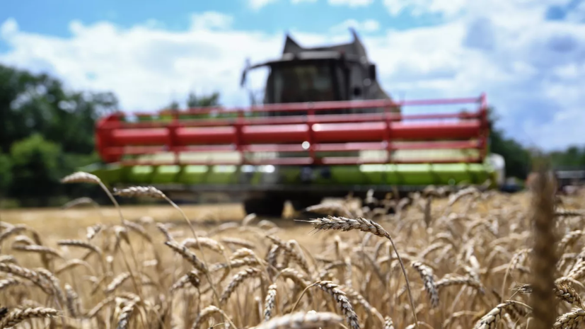 МИД: Российская Федерация не видит перспектив для продления зерновой сделки